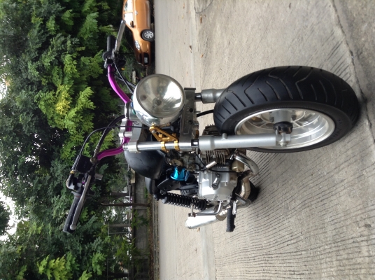 ขายลิงน้อย ขอด่วนๆนะครับ