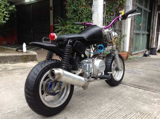 ขายลิงน้อย ขอด่วนๆนะครับ