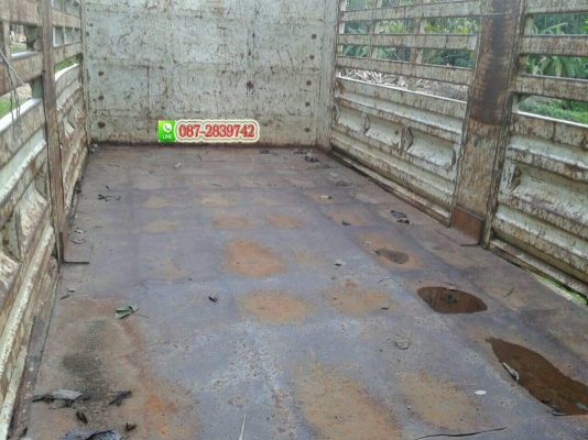 ขายกระบะรถบรรทุก 10 ล้อ ต่อจากอู่พนัง(ไม่ดั้มพ์)