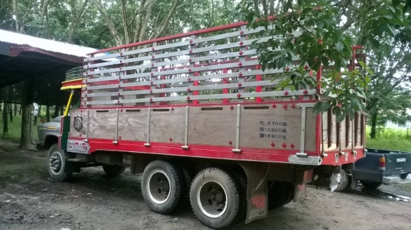 ขายรถสวยครับเผื่อมีใครสู้ราคา 10 ล้อหัวยาวเพลาเดียว เครื่อง 6BF1 185 แรงม้า คัสซีสวยจัด นอกนั้นเดิมทุกอย่าง ทะเบียนเต็มพร้อมโอน ขายรถสวยครับเผื่อมีใครสู้ราคา 10 ล้อหัวยาวเพลาเดียว เครื่อง 6BF1 185 แรงม้า คัสซีสวยจัด นอกนั้นเดิมทุกอย่าง ทะเบียนเต็มพร้อมโอน