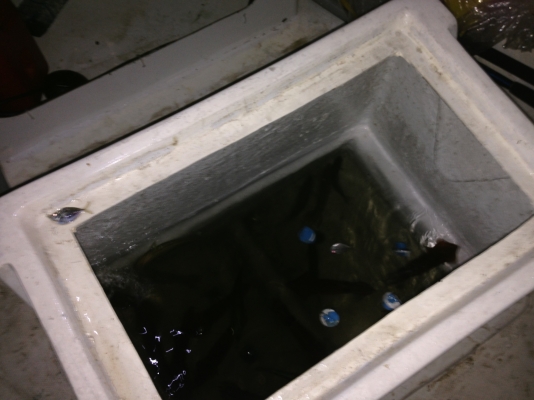 ขายเรือไพเบอร์ 16 ฟุตสองน้ำ 165,000 บาท