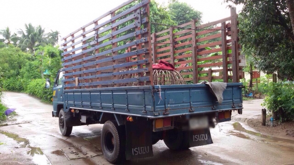 ขายรถบรรทุกหกล้อ ISUZU JAANPR59L เครื่อง 4BD1-115 แรง ช่วงกระบะยาว 4.30 เมตร ทะเบียนพร้อม