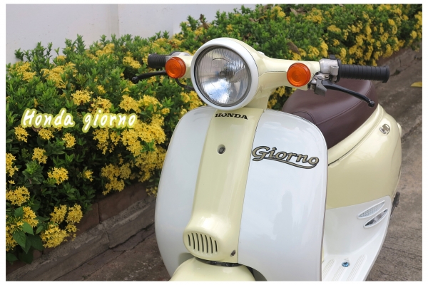 ขาย Honda Giorno 50cc หวานๆ 17900 บาท ขาย Honda Giorno 50cc หวานๆ 17900 บาท
