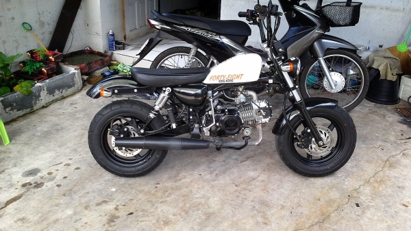 BIG BULL FORTY EIGHT 2013