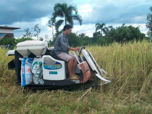 ขายรถเกี่ยวเล็ก