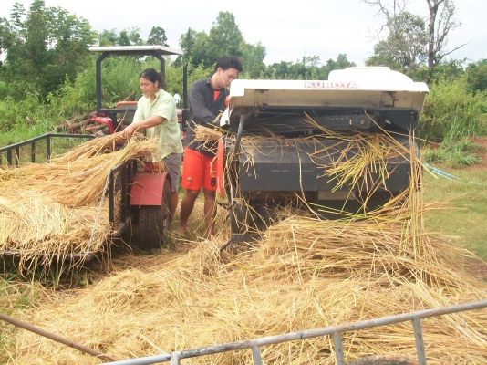 ขายรถเกี่ยวเล็ก ขายรถเกี่ยวเล็ก