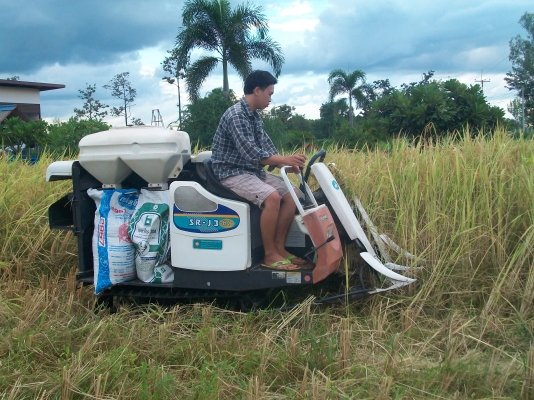 ขายรถเกี่ยวเล็ก ขายรถเกี่ยวเล็ก