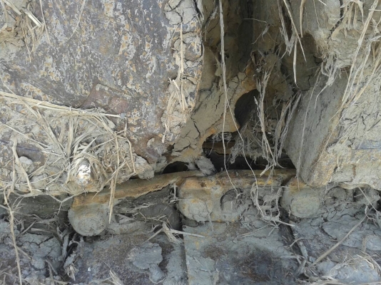 มี3คัน คันละ60ขายMITSUBISHI 527M TC 6D16ดั๊ม เพลาบุมเบรคใหญ่ สภาพสวยพร้อมใช้ ต่อรองได้ ติดต่อได้ที่คุณ อ๊อฟ พิจิตร 086-737-9991