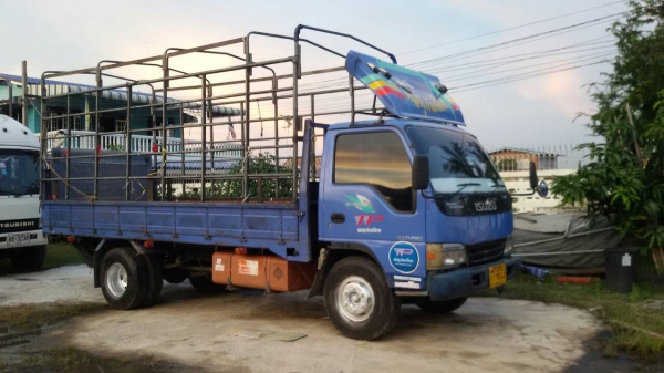 ISUZU-NPR.70L.เครื่อง130โบว์.เพาว์เวอร์.แอร์.บะคาร์โก้5เมตร.มีลิฟหลัง.ครัชซีสวยสภาพพร้อมใช้490.000.บ ISUZU-NPR.70L.เครื่อง130โบว์.เพาว์เวอร์.แอร์.บะคาร์โก้5เมตร.มีลิฟหลัง.ครัชซีสวยสภาพพร้อมใช้490.000.บ