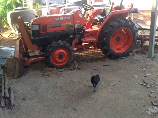 ขายด่วนรถไถนาคูโบต้า L 2808 4 WD พร้อมอุปกรณ์ ผานดันหน้า ผานหลัง รถสวยเครื่องแน่นไม่มีเยิ้ม สภาพรถพร