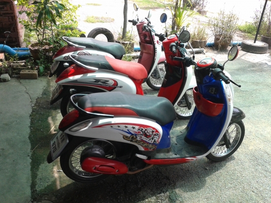 เหมา 3คัน