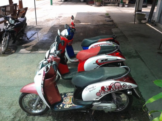 เหมา 3คัน