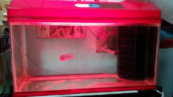 ตู้ปลา 36 นิ้ว