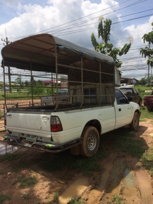 ขาย DRAGON EYE. ปี2000 พวงมาลัยพาวเวอร์ ขาย DRAGON EYE. ปี2000 พวงมาลัยพาวเวอร์