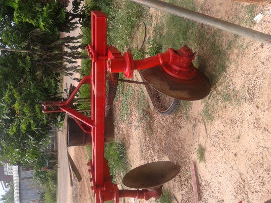 ขายผานยกร่อง