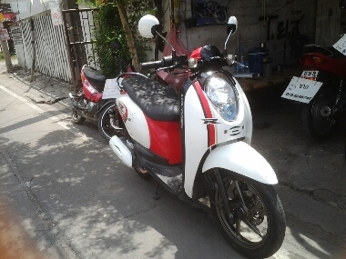 สกุบปี้iปี2553