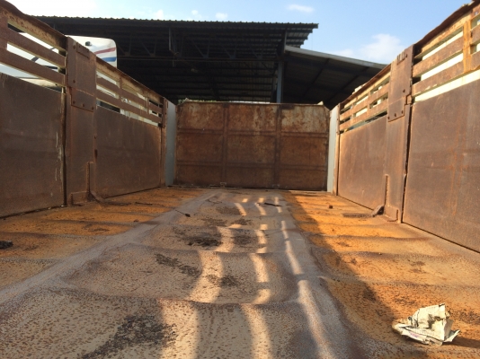 10ล้อดั้ม195สิงไฮเทค..ขายรวมดาวน์รวมผ่อน1.1ล้าน...ดาวน์4.5แสน (รายละเอียดดูด้านล่าง)