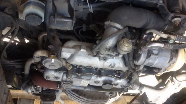 ขาย Isuzu NKR 4ล้อไม่ติดเวลา ป้ายเล็ก รถห้าง ปี50