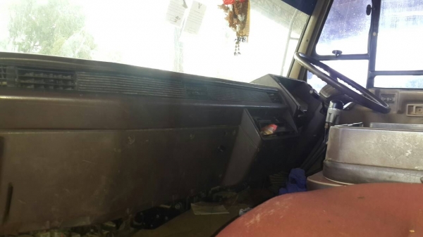 ขายด่วนไอ้หลงโบแม่ลูกสภาพสวยๆแม่ดั้มลูกไม่ดั้มราคาโทร0843923995