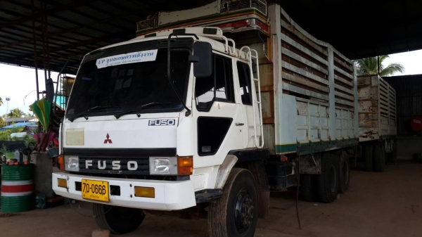 ขายด่วนไอ้หลงโบแม่ลูกสภาพสวยๆแม่ดั้มลูกไม่ดั้มราคาโทร0843923995