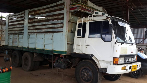 ขายด่วนไอ้หลงโบแม่ลูกสภาพสวยๆแม่ดั้มลูกไม่ดั้มราคาโทร0843923995