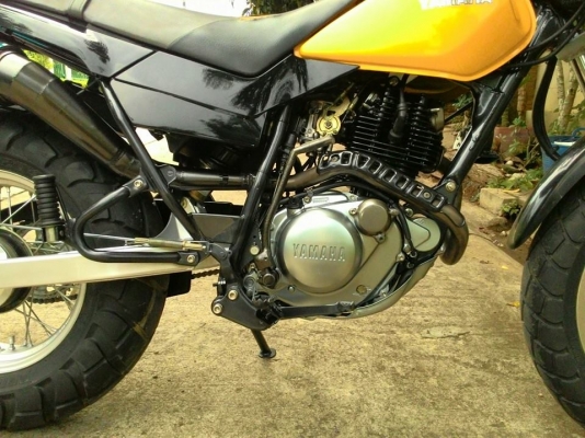 tw year2001ขายแลก