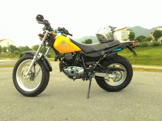 tw year2001ขายแลก