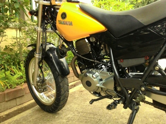 tw year2001ขายแลก