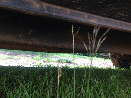 ลดราคาไปเลยขายรถรับส่งนักเรียนม้าสด้ามังกรรถพร้อมใช้ถูกๆ