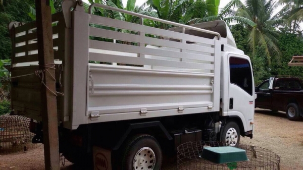 รถอีซูซุ 6 ล้อดั้ม NMR 130 แรงม้า. ปี 55 ( รถวิ่ง 1x,xxx กม. ) สนใจติดต่อ 081 - 6079515 รถอีซูซุ 6 ล้อดั้ม NMR 130 แรงม้า. ปี 55 ( รถวิ่ง 1x,xxx กม. ) สนใจติดต่อ 081 - 6079515