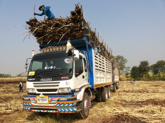 ขายด่วน!!!!  ISUZU DECA 270 ยูโร2 ไม่ดั๊ม คอกเกษตร