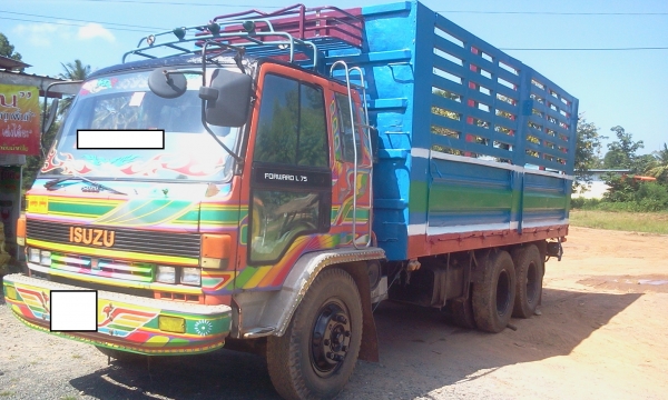 ขายสิบล้อ isuzu JCM