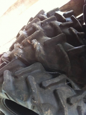 ขายยางนอก 13.6 - 26 คู่ละ 11,500 บาท ขายยางนอก 13.6 - 26 คู่ละ 11,500 บาท