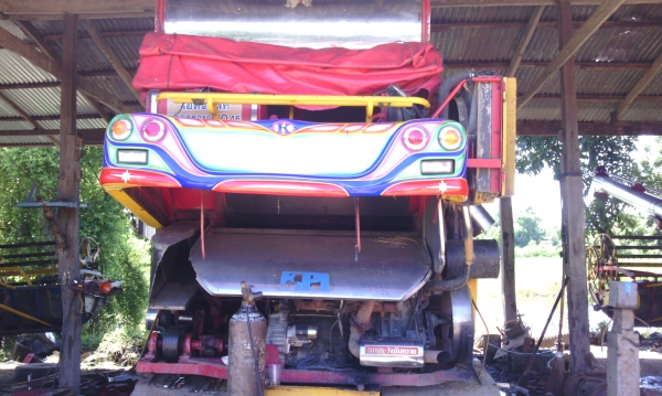 ขายจ้าวช้าง ปี 53 สวยๆ