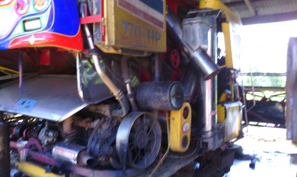 ขายจ้าวช้าง ปี 53 สวยๆ