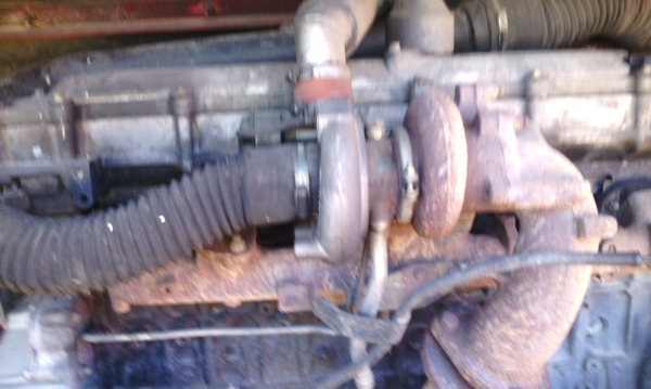 ขายจ้าวช้าง ปี 53 สวยๆ