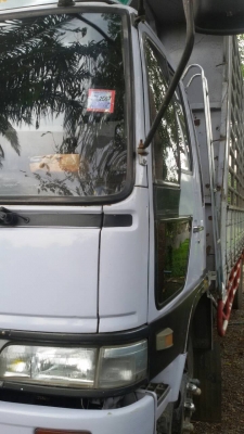 ขายHINO FF1J เครื่อง210แรง ยาว6.20ม พ.เพาเวอร์ เบรกทิฟฟี่ แอร์เย็น เครื่องดี คัชซีสวย สภาพพร้อมใช้งาน เอกสารพร้อมโอน สนใจโทร090-8588220คุณนะ ID:narong498 หรือwww.truck.in.th/498