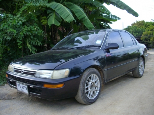 ขาย3ห่วงราคาเบาๆๆ ขาย3ห่วงราคาเบาๆๆ