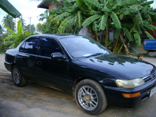 ขาย3ห่วงราคาเบาๆๆ ขาย3ห่วงราคาเบาๆๆ