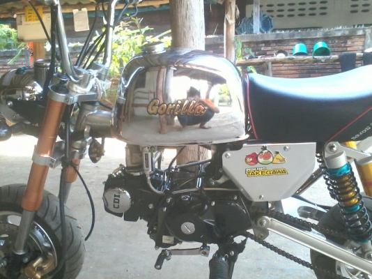 ขาย กอลิล่า  แต่งเต็ม  29000