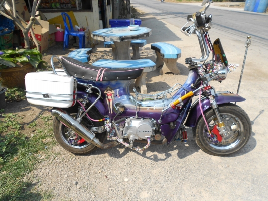 honda chaley