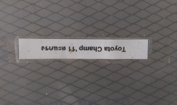 กระจังหน้า vigo champ สวยๆ