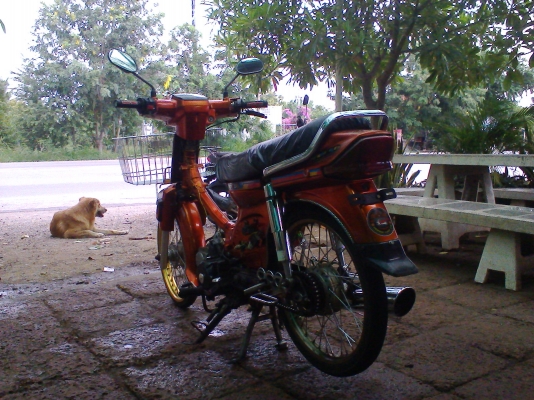 ขายดรีม คุรุ เครื่องไทเกอร์ 110 สภาพสวยๆ ไม่มี ท.บ ออกใบซื้อขายให้ครับ ค่าตัว 12500 บาท สนใจโทรติดต่อ 098-5684508 / 089-8054390 โอ๋ ลพบุรี