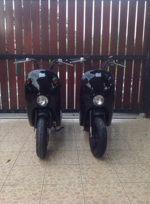 suzuki choi nori 50cc  4จังหวะ น่ารักๆ