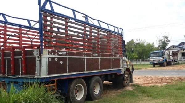 ขาย10ล้อ1เพลาวิ่งร่อง บรรทุกอ้อย ฮีโน่ 925 เครื่อง185HO7C เกียร์HO เครื่องดีฟิต แชชซีสวย กระบะดี เอกสารเล่มทะเบียนพร้อมโอน