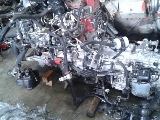 ฝาสูบ HINO 12PA,JO5c,JO5E,SO5c,NO4c,HO6C,HO7D,HO7C,JO8C,JO8E,JO7C,JO7E,JO5C,P11C,PO9C,AO9C,EK100,EH100,EH300,EH500,EH700,EM100,EL100,EP100,M10C,K13C,K13D,EF500,EF550,EF750,QD100,WO4D,WO6D,WO6E รับประกัน ฝาสูบ HINO 12PA,JO5c,JO5E,SO5c,NO4c,HO6C,HO7D,HO7C,JO8C,JO8E,JO7C,JO7E,JO5C,P11C,PO9C,AO9C,EK100,EH100,EH300,EH500,EH700,EM100,EL100,EP100,M10C,K13C,K13D,EF500,EF550,EF750,QD100,WO4D,WO6D,WO6E รับประกัน