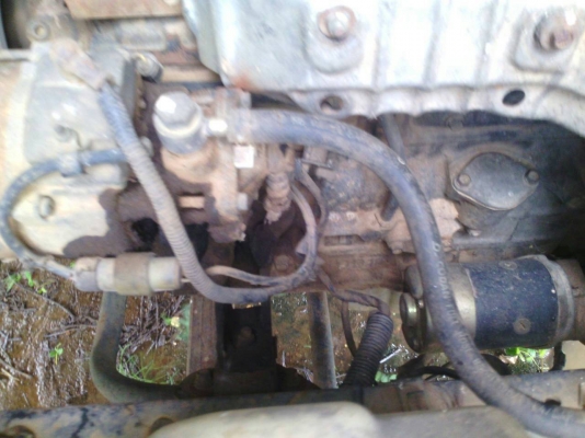 ขายรถบรรทุกอ้อย อีซูซุNPR115 ช่วงล่างใหญ่ F หน้า-หลัง สภาพพร้อมใช้งาน เครื่องดี แชชซีสวย เอกสารเล่มทะเบียนพร้อมโอน สีเดิม พร้อมลุยงาน ขายรถบรรทุกอ้อย อีซูซุNPR115 ช่วงล่างใหญ่ F หน้า-หลัง สภาพพร้อมใช้งาน เครื่องดี แชชซีสวย เอกสารเล่มทะเบียนพร้อมโอน สีเดิม พร้อมลุยงาน