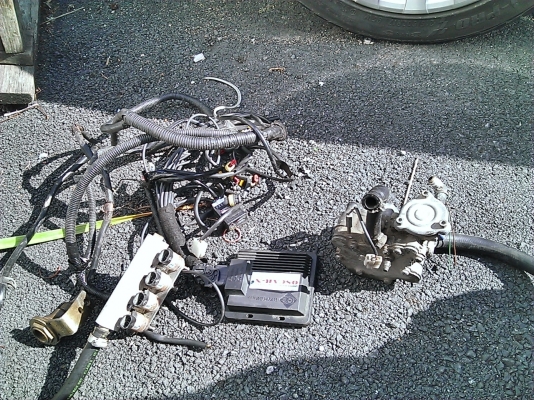 กล่อง ecu  Europegas Oscar-N mini