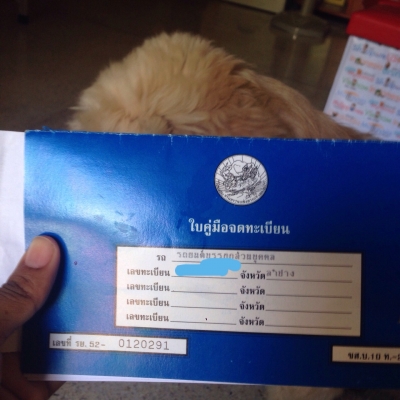 ขายรถตู้ ขายน้ำปั่น กาแฟ ถูกๆๆ ขาดทุนไปเลย