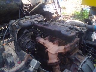 หกล้อ อีซูซุ NPR115แรงดั้ม ย.3.80ม สภาพสวยพร้อมลุย พวงมาลัยเพาเวอร์ เล่มทะเบียนครบ รราคา385000บ ตัดไม่ถูกไม่แพง ครับ